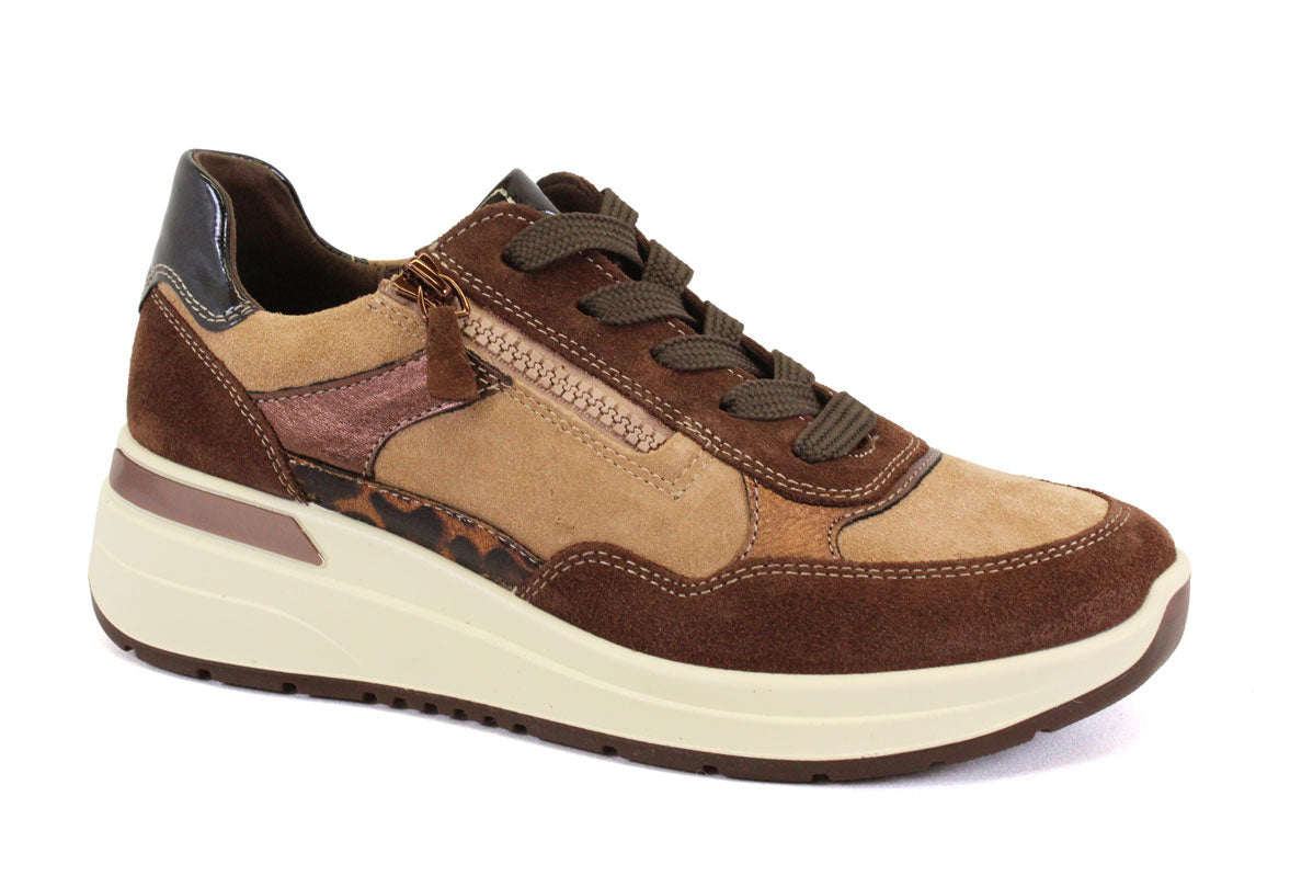 ARA 57702-26 - BRUN - F33.25507