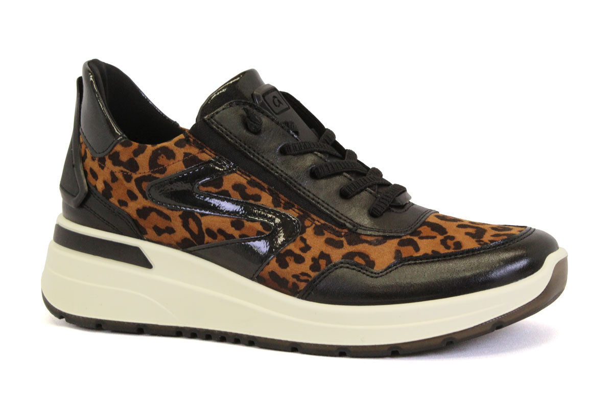 ARA 57701-08 - LEOPARD - F37.25503