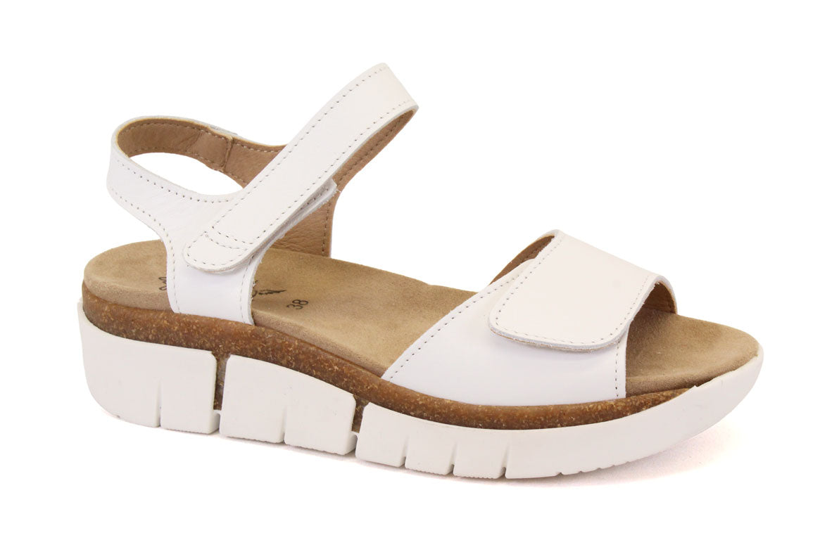 PORTOFINO AP-11451 - BLANC - F41.25003