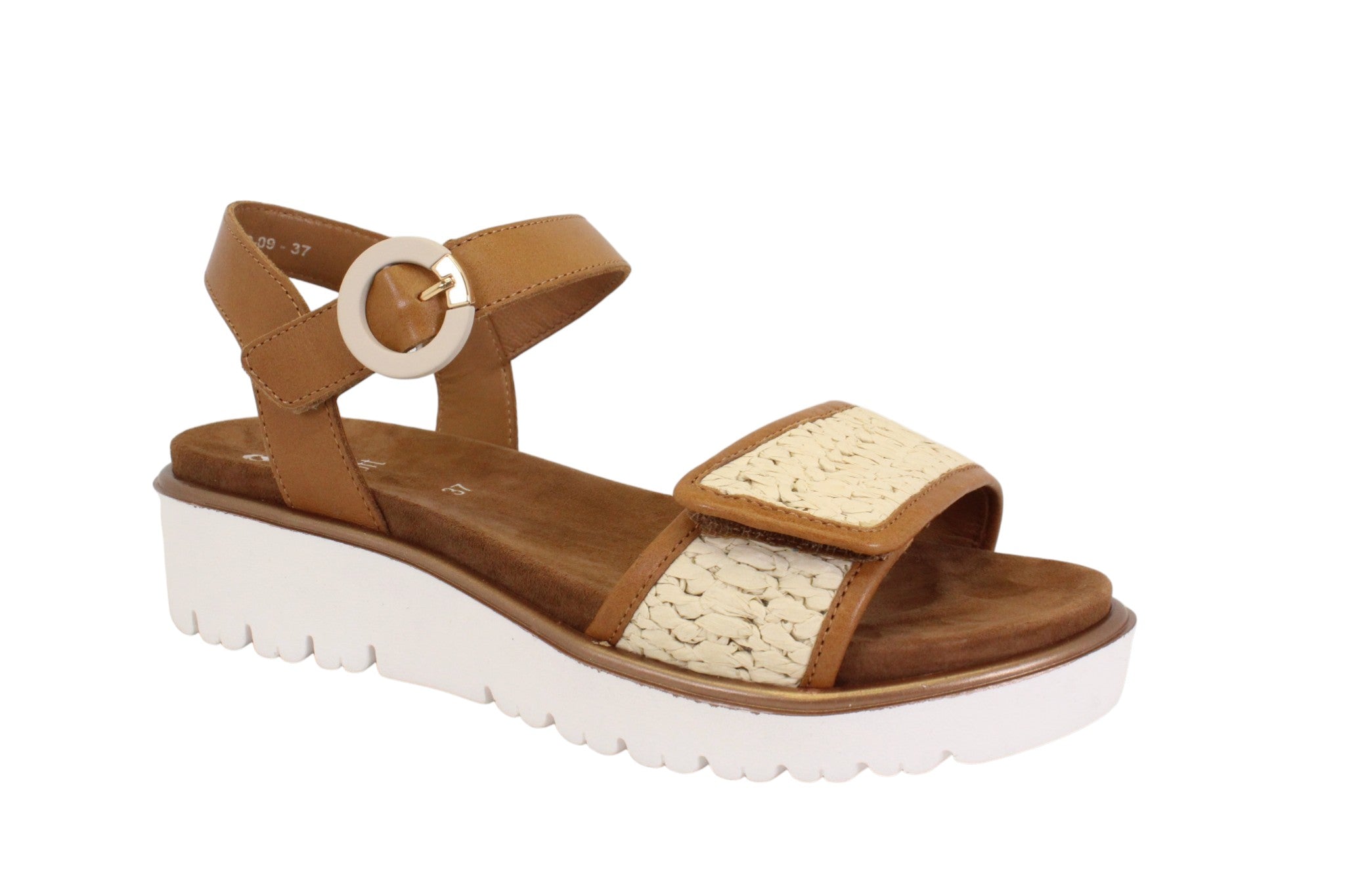 ARA 33519-09 - COGNAC - F93.26007