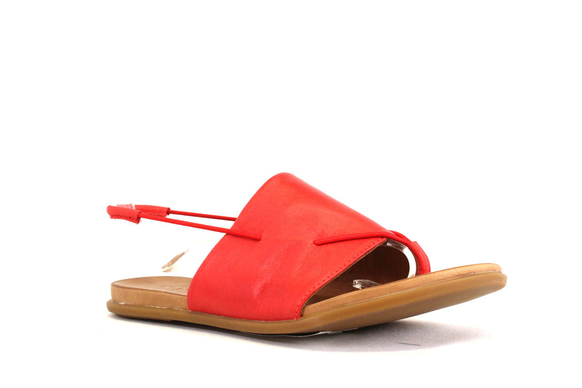 UNITY IN DIVERSITY/SOLE MIO KIRA-35-1 - ROUGE - F97.21019