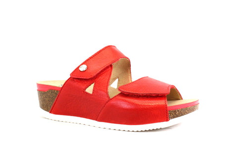 ARA 38204-78 - ROUGE - F97.21037