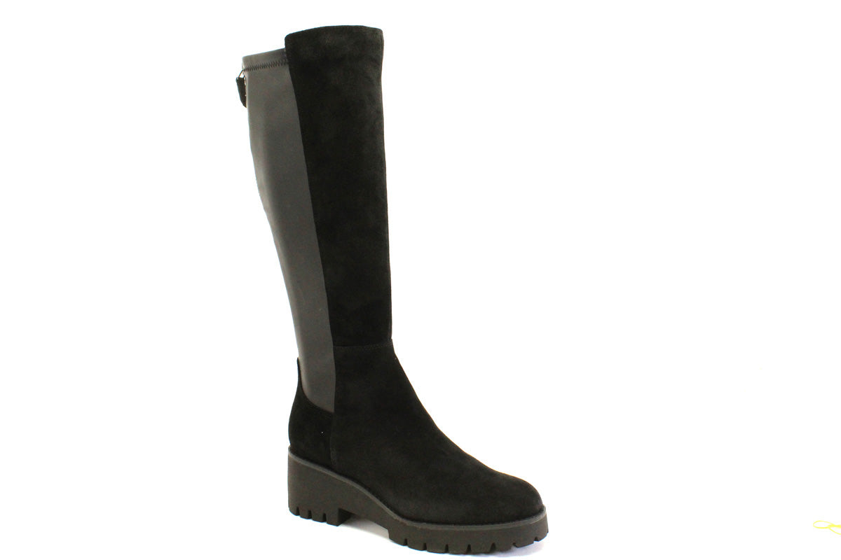 BLONDO DARA - NOIR SUEDE - FF60.22506