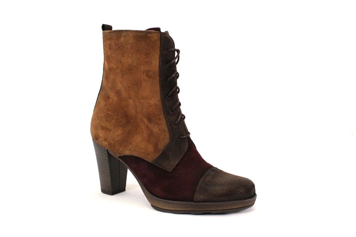 DORKING D8307 - BORDO / BRUN - FF77.20503