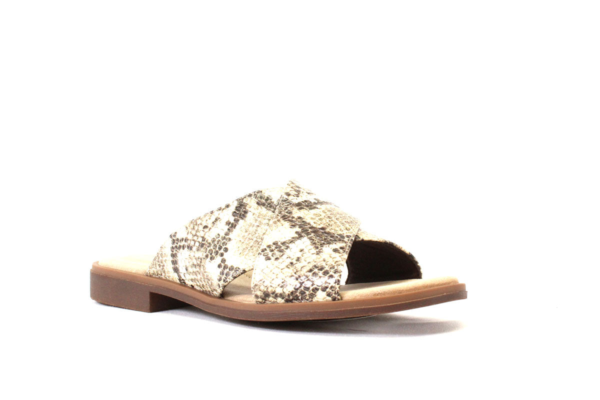 C & J CLARK DECLAN IVY B - TAUPE SERPENT - FF97.20000