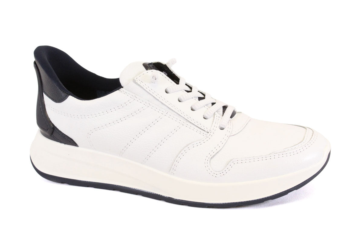 ARA 28606 25 - BLANC - H31.25500