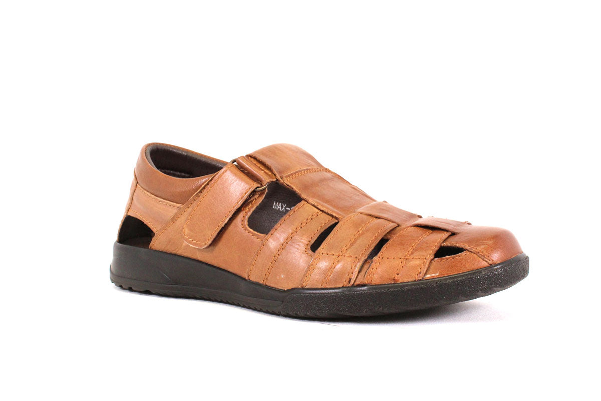 IMPORTATION BEAUCHESNE MAX 1 - COGNAC - H321.0033
