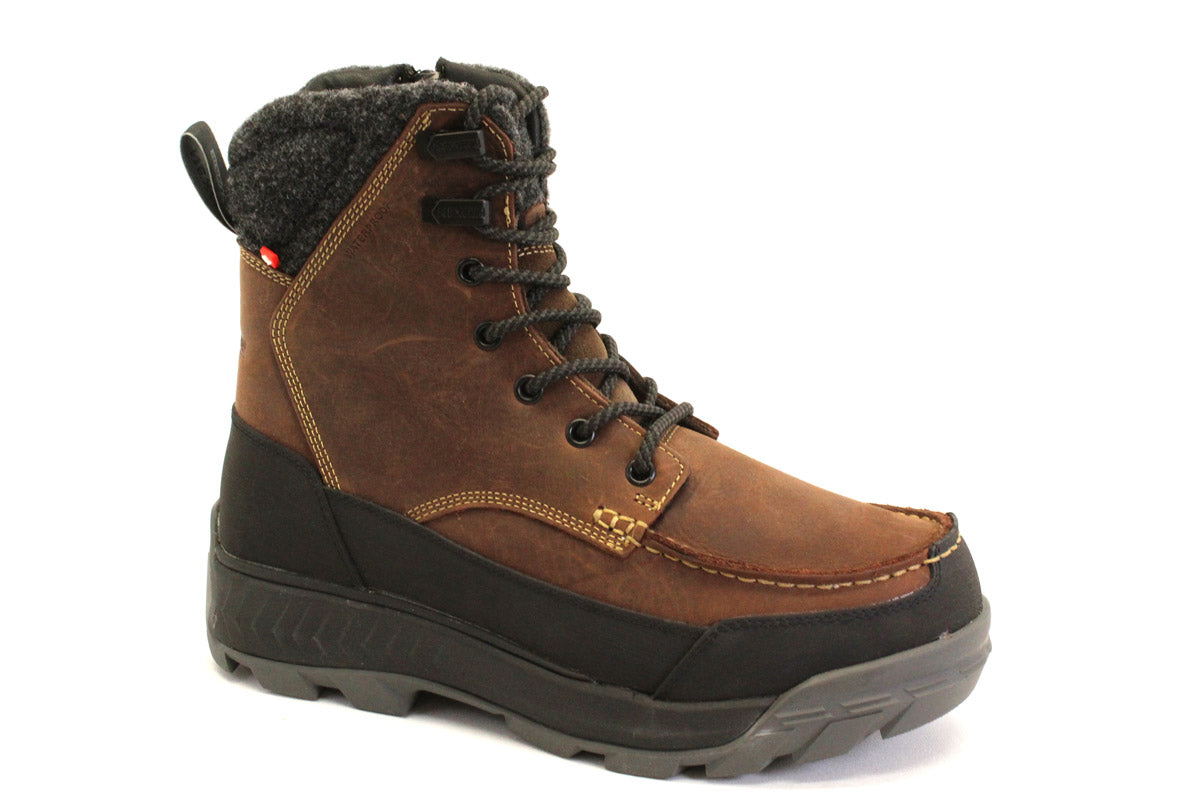 NEXX GABE - BRUN - H70.22511