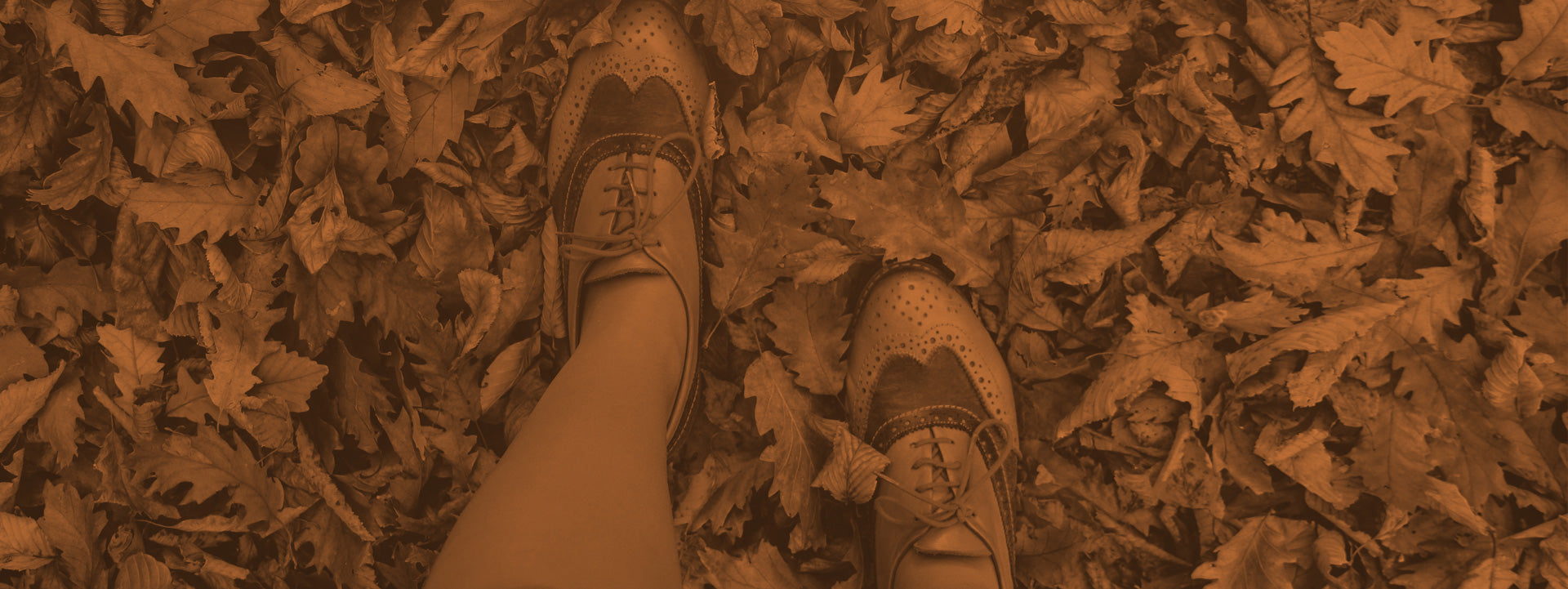 Tendances sac à main - Automne 2017