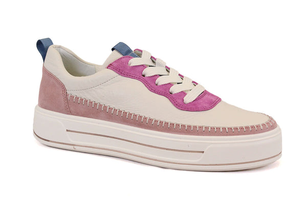 ARA 23024 16 - ROSE BLANC - F37.25030