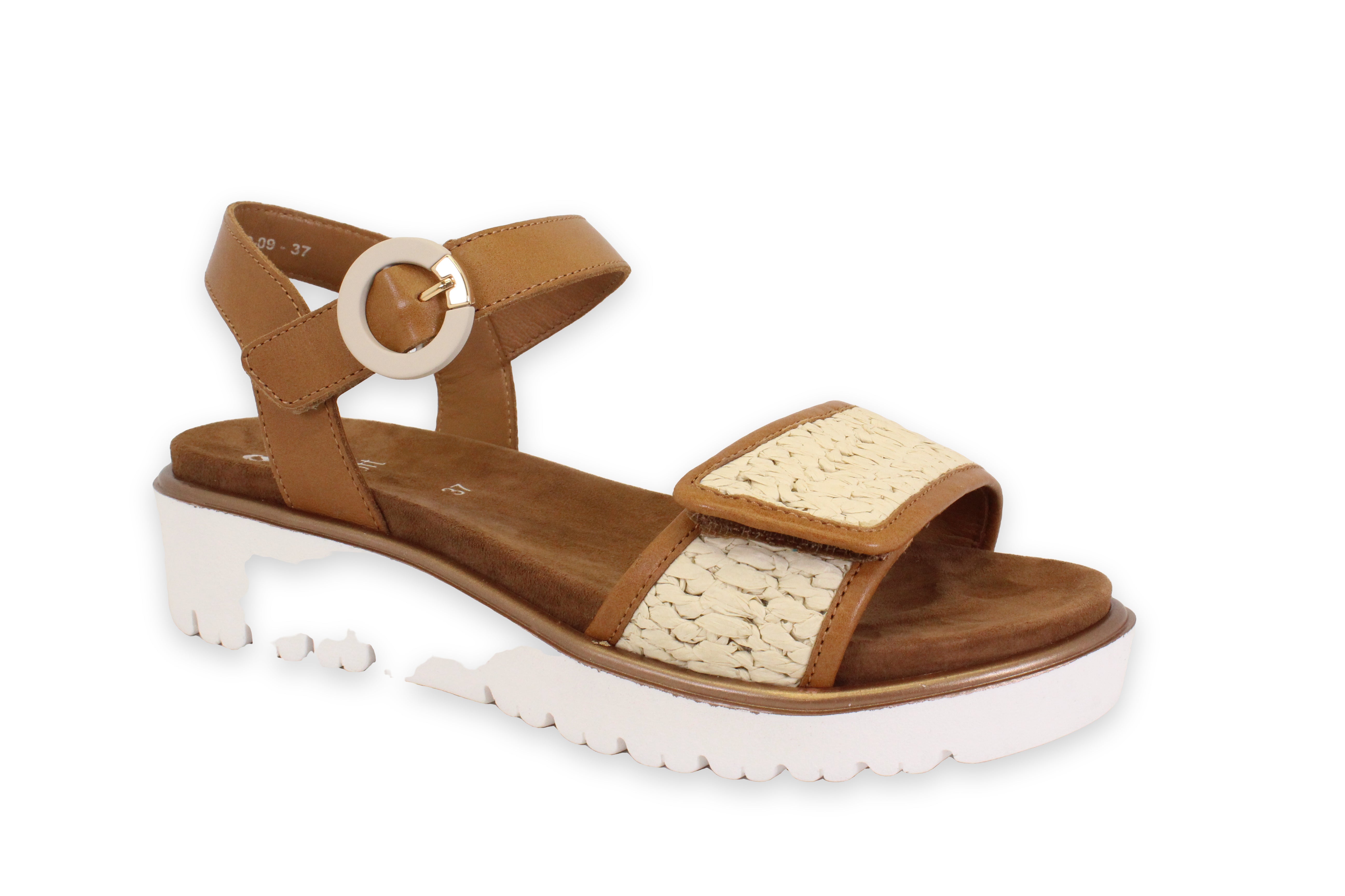ARA 33519-09 - COGNAC - F93.26007