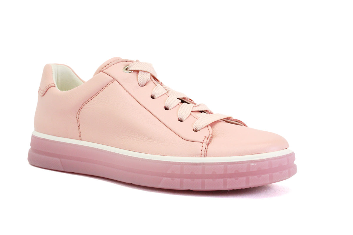 ARA 25200 05 - ROSE - FF31.22008