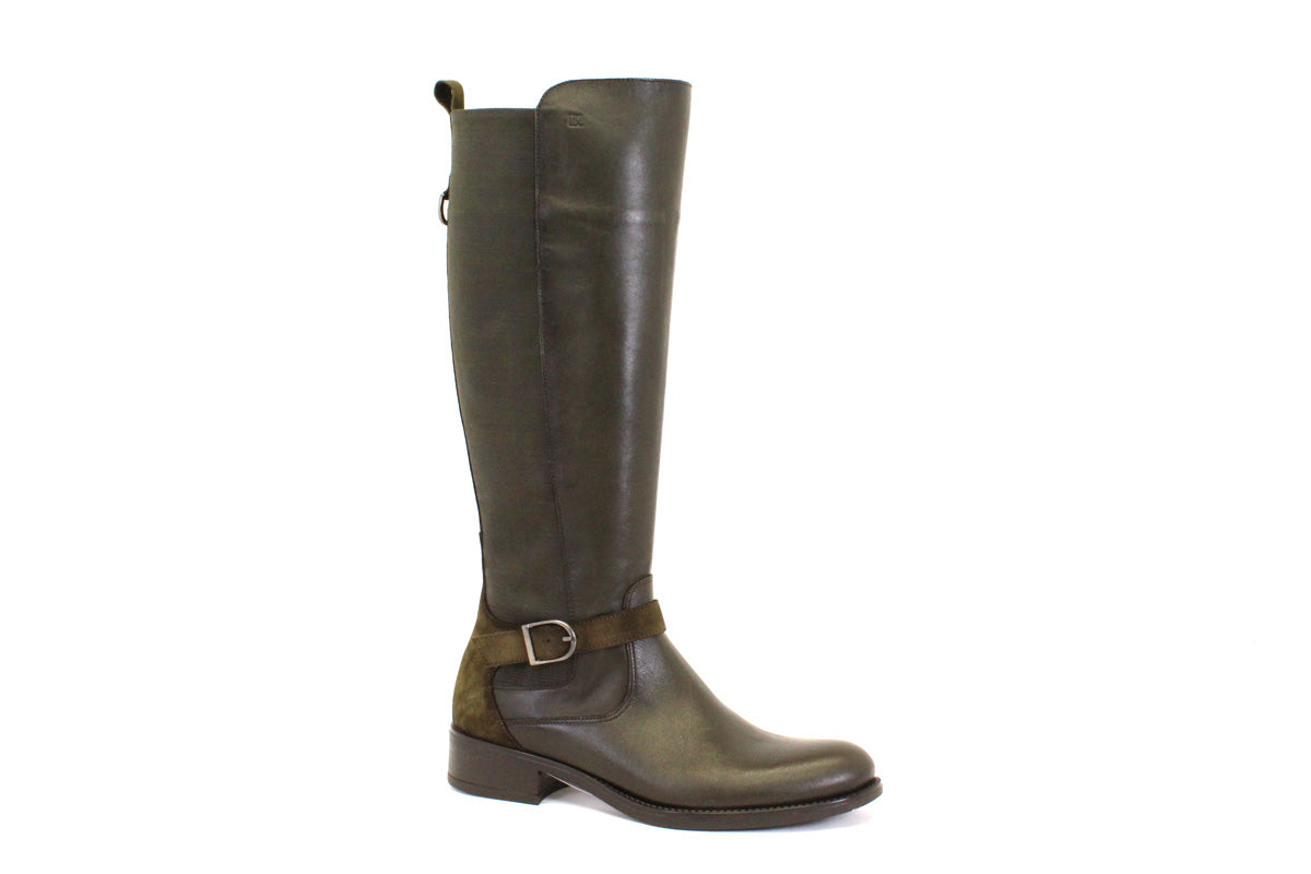 DORKING D9119L 101508 - KHAKY - FF67.23500