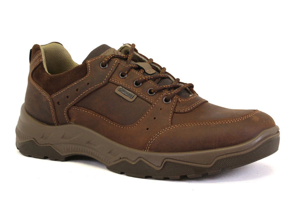 ARA 38505-09 - BRUN - H33.25506